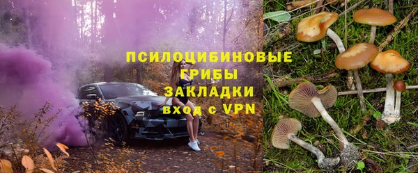 дживик Богданович