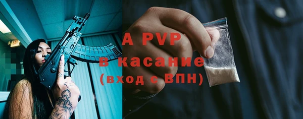 дживик Богданович