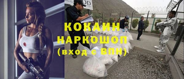 дживик Богданович