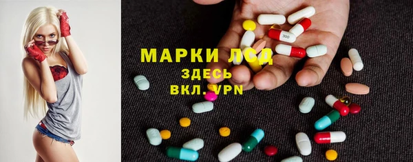 дживик Богданович